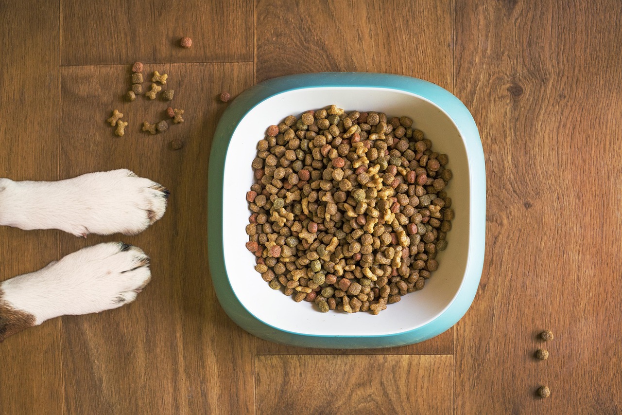 The Top Proteins to Avoid for Allergy-Prone Dogs